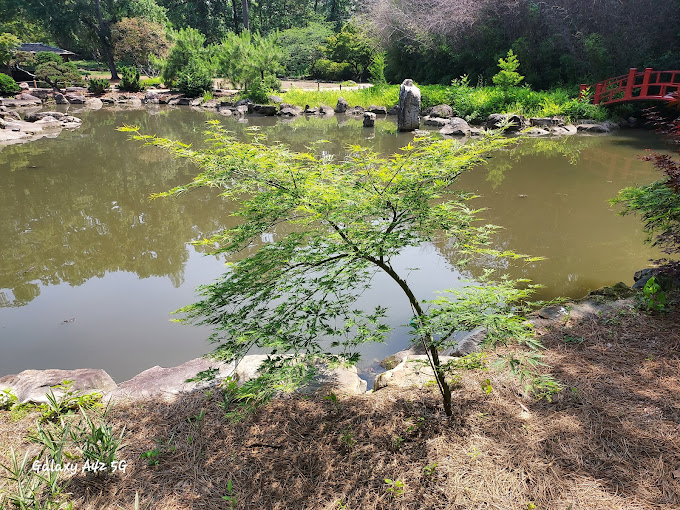 Birmingham Botanical Gardens