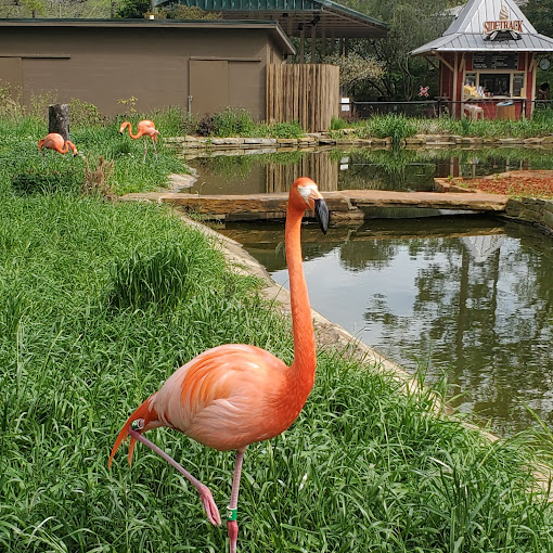 Birmingham Zoo