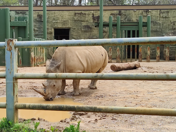 Birmingham Zoo