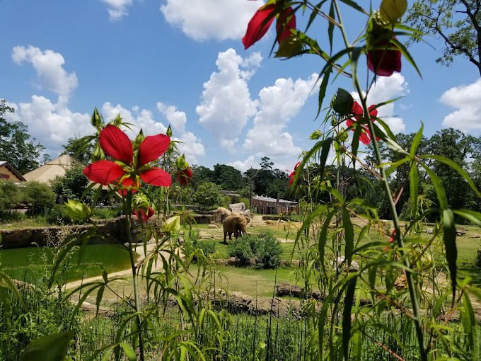 Birmingham Zoo