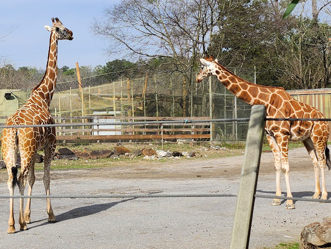 Birmingham Zoo