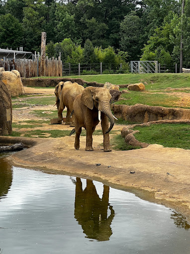 Birmingham Zoo