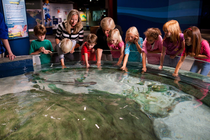 McWane Science Center