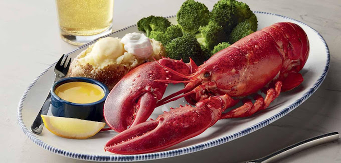 Red Lobster