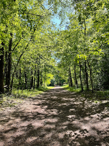 Red Mountain Park