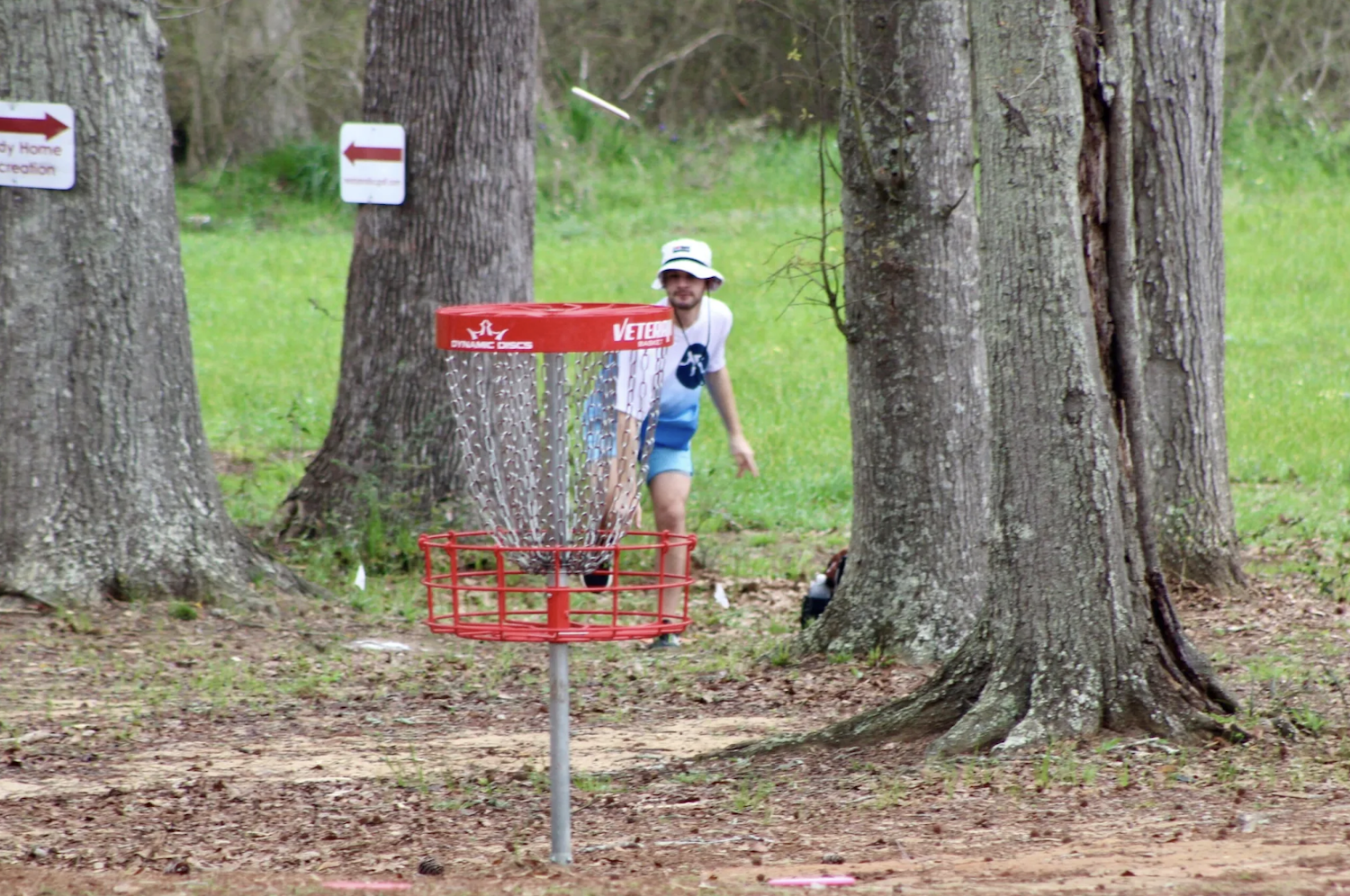 New disc golf courses open in Helena and Pelham