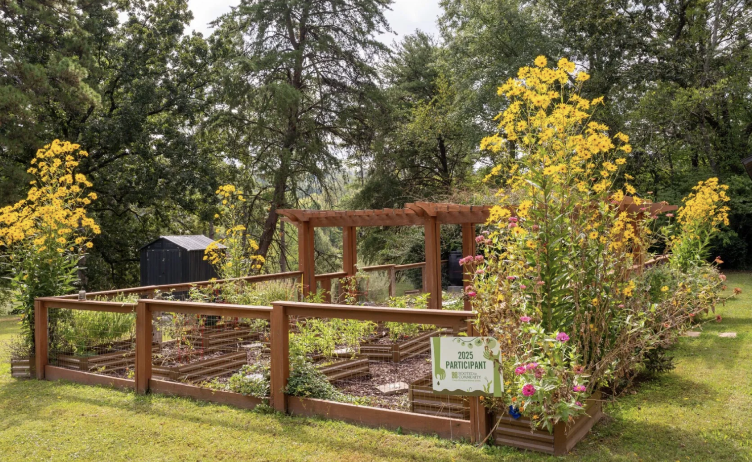 Birmingham tops Alabama in urban gardening rankings