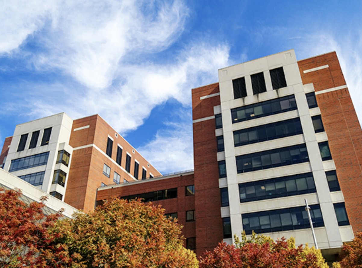 UAB achieves historic medical milestones with first-ever Alabama transplants