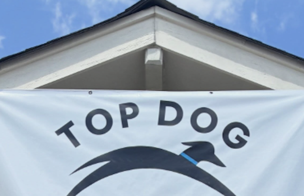 New small-dog daycare top dog opens on Crescent Avenue
